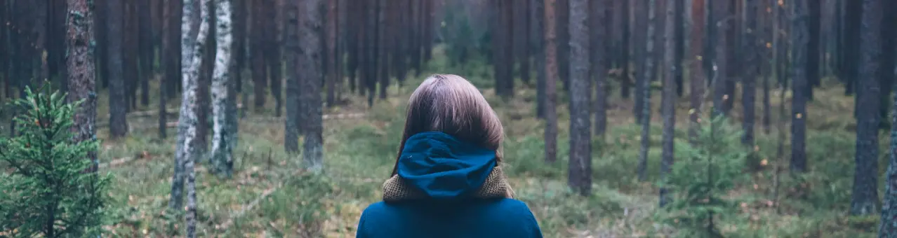 Evitar perderse en la maleza: algunas reflexiones sobre la enseñanza cristiana